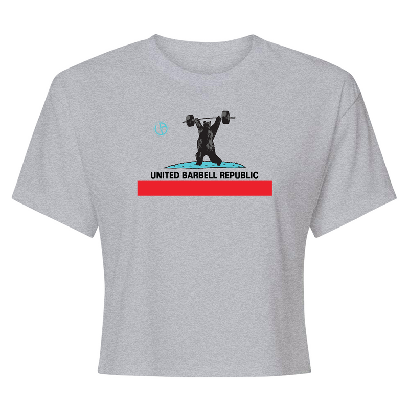 Womens X-Small Heather Gray Style_T-Shirt