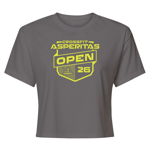 Womens X-Small Dark Grey Style_T-Shirt