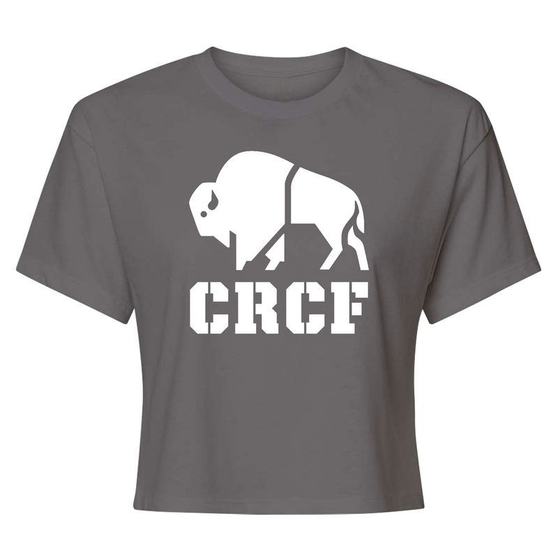 Womens 2X-Large Dark Gray Style_T-Shirt