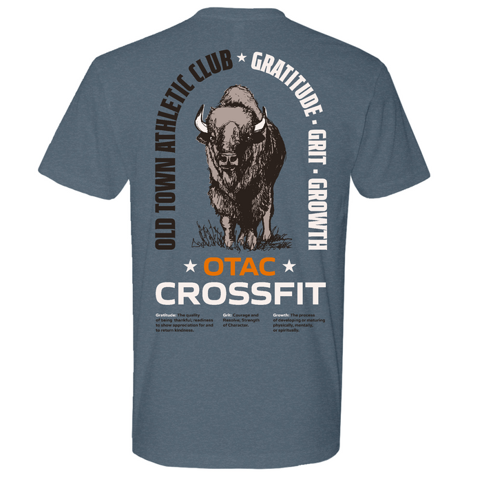 Mens Medium Indigo Style_T-Shirt