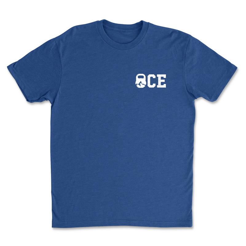 Mens 2X-Large ROYAL T-Shirt