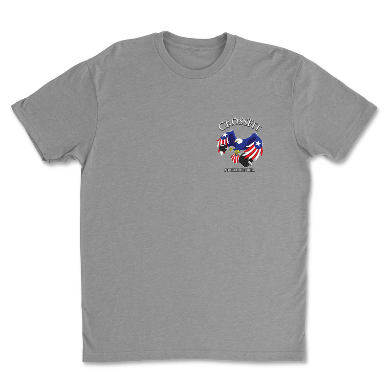 Mens 2X-Large DARK_HEATHER_GRAY T-Shirt