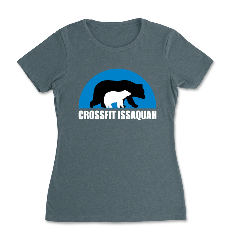 Womens 2X-Large INDIGO T-Shirt