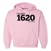 Mens 2X-Large LIGHT_PINK Hoodie