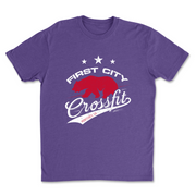 Mens 2X-Large PURPLE_RUSH T-Shirt