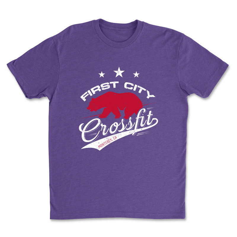 Mens 2X-Large PURPLE_RUSH T-Shirt