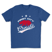 Mens 2X-Large ROYAL T-Shirt