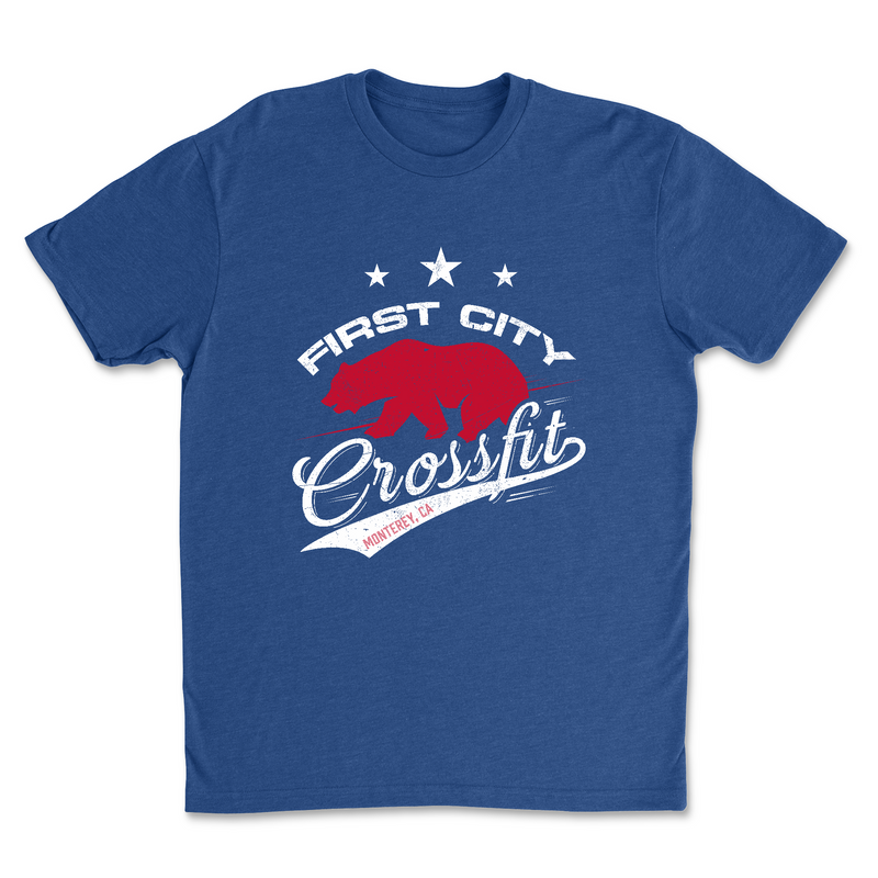 Mens 2X-Large ROYAL T-Shirt
