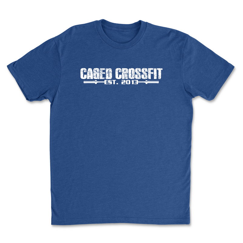Mens 2X-Large ROYAL T-Shirt