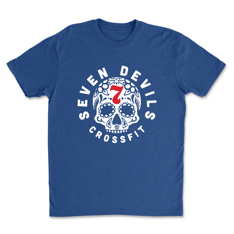 Mens 2X-Large ROYAL T-Shirt