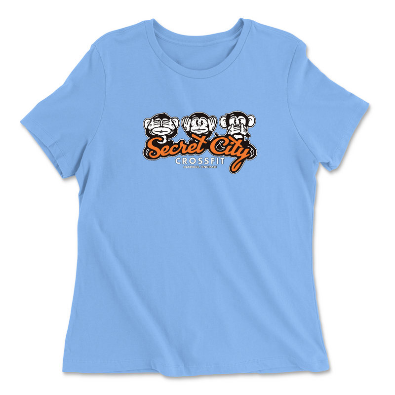 Womens 2X-Large CAROLINA_BLUE Relaxed Jersey T-Shirt