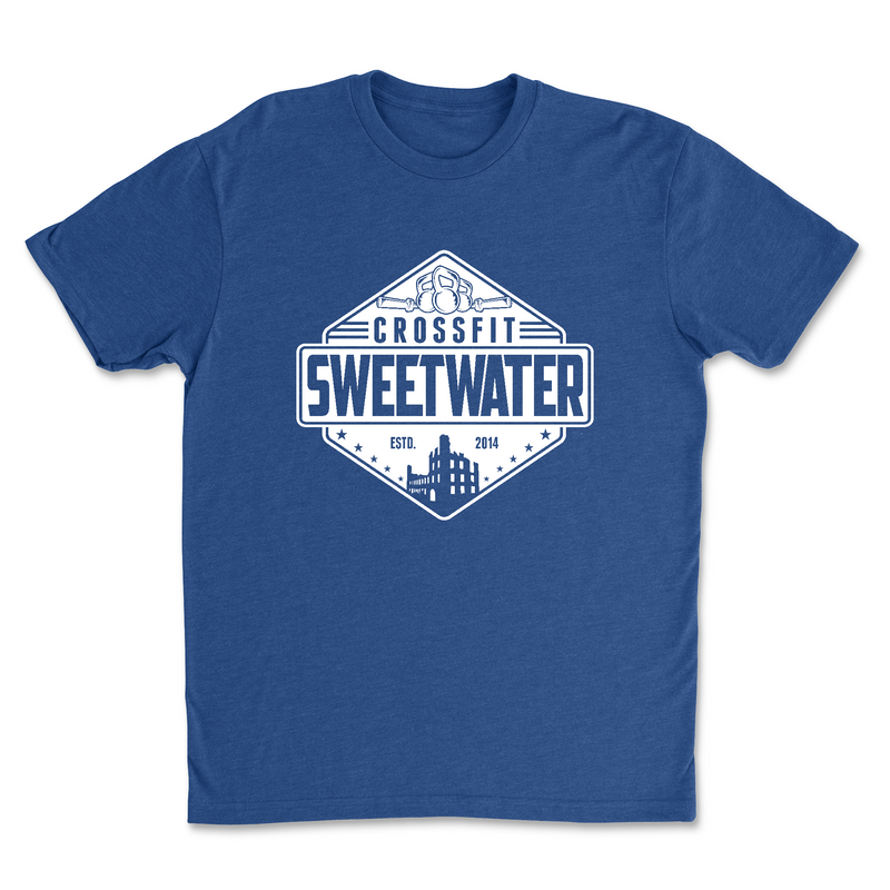 Mens 2X-Large ROYAL T-Shirt