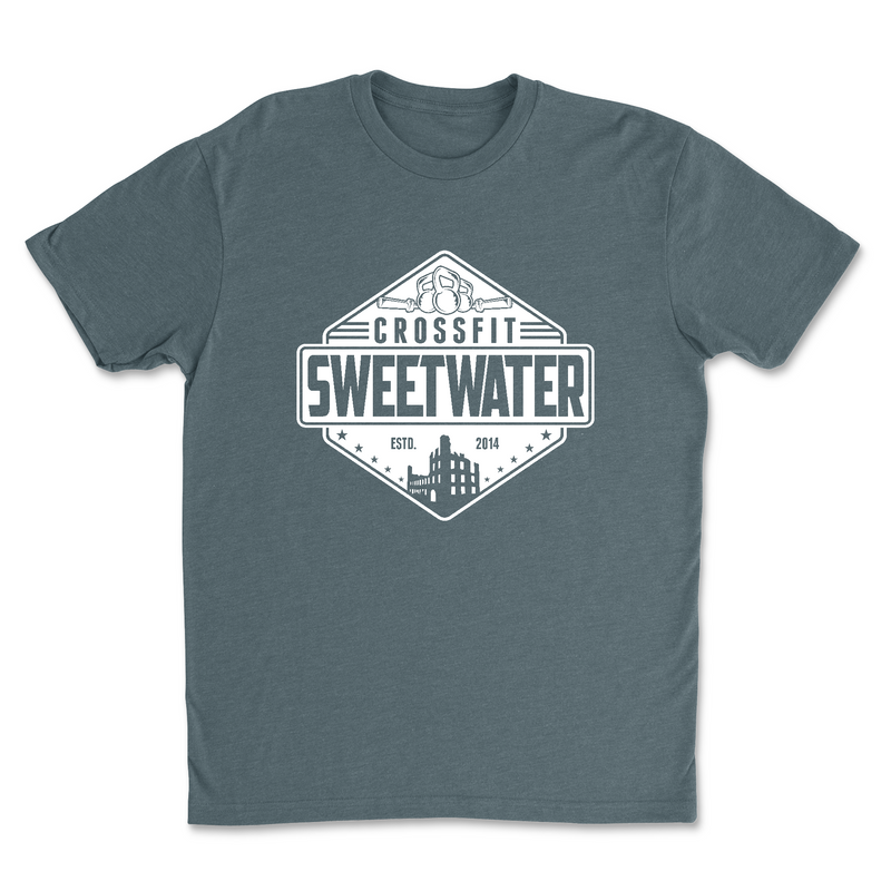Mens 2X-Large INDIGO T-Shirt