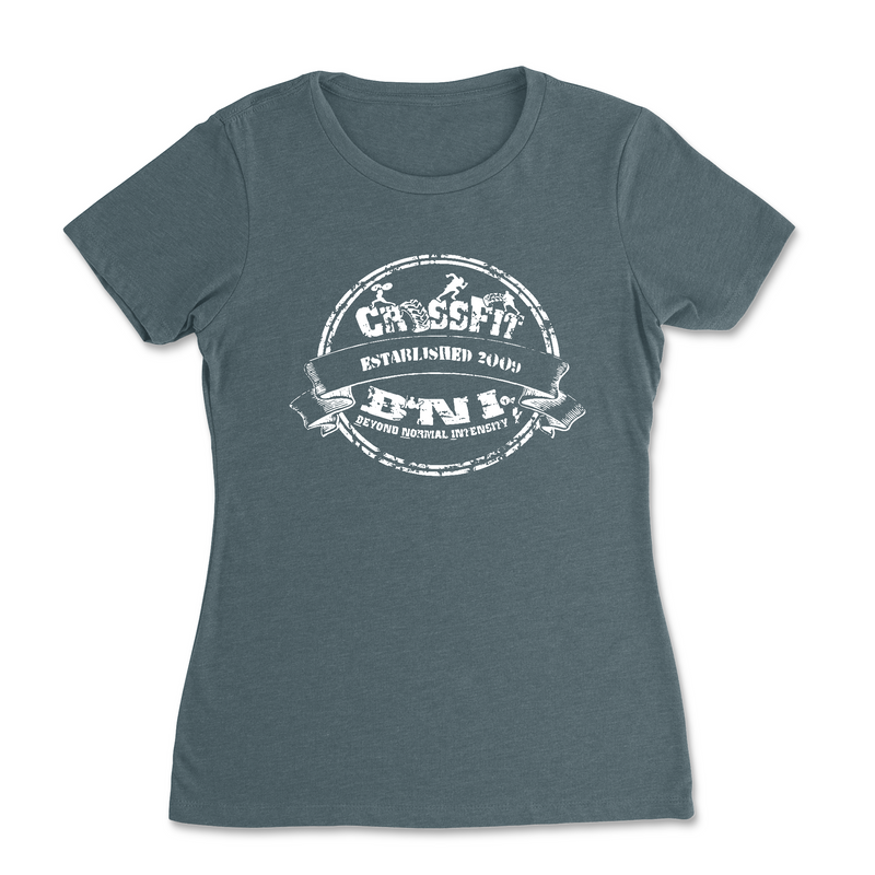 Womens 2X-Large INDIGO T-Shirt