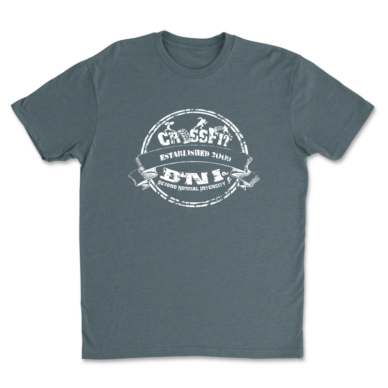 Mens 2X-Large INDIGO T-Shirt