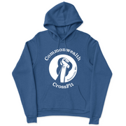 Mens 2X-Large ROYAL Hoodie
