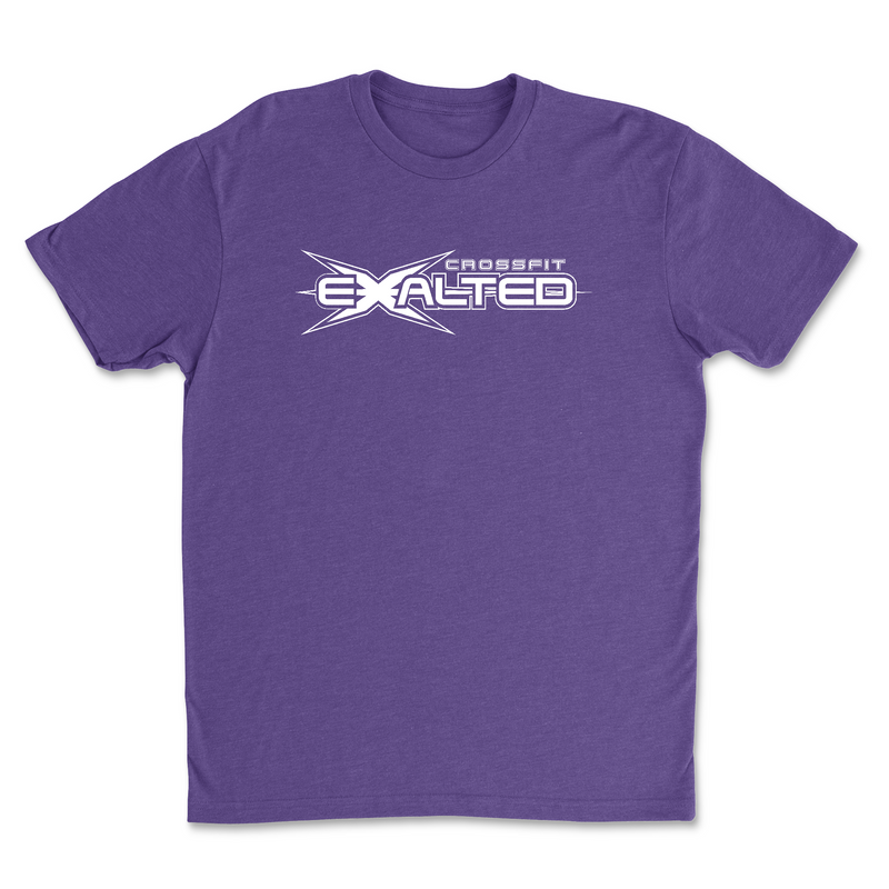 Mens 2X-Large PURPLE_RUSH T-Shirt