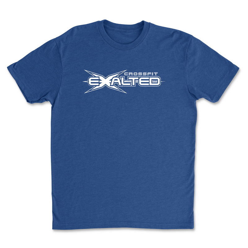 Mens 2X-Large ROYAL T-Shirt