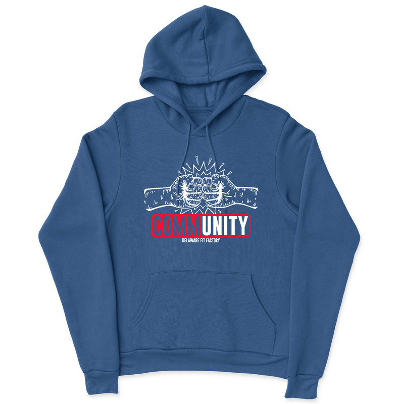 Mens 2X-Large ROYAL Hoodie