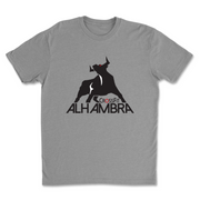 Mens 2X-Large DARK_HEATHER_GRAY T-Shirt