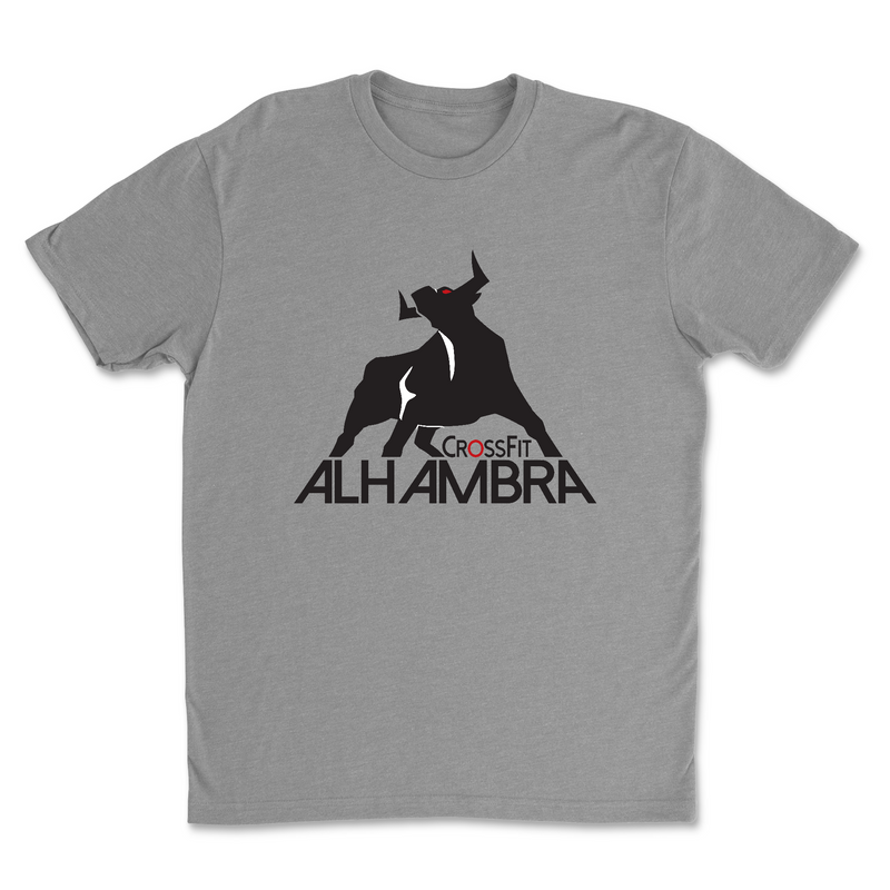 Mens 2X-Large DARK_HEATHER_GRAY T-Shirt