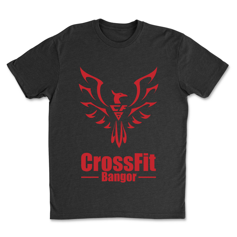 Mens 2X-Large BLACK T-Shirt