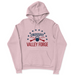 Mens 2X-Large LIGHT_PINK Hoodie