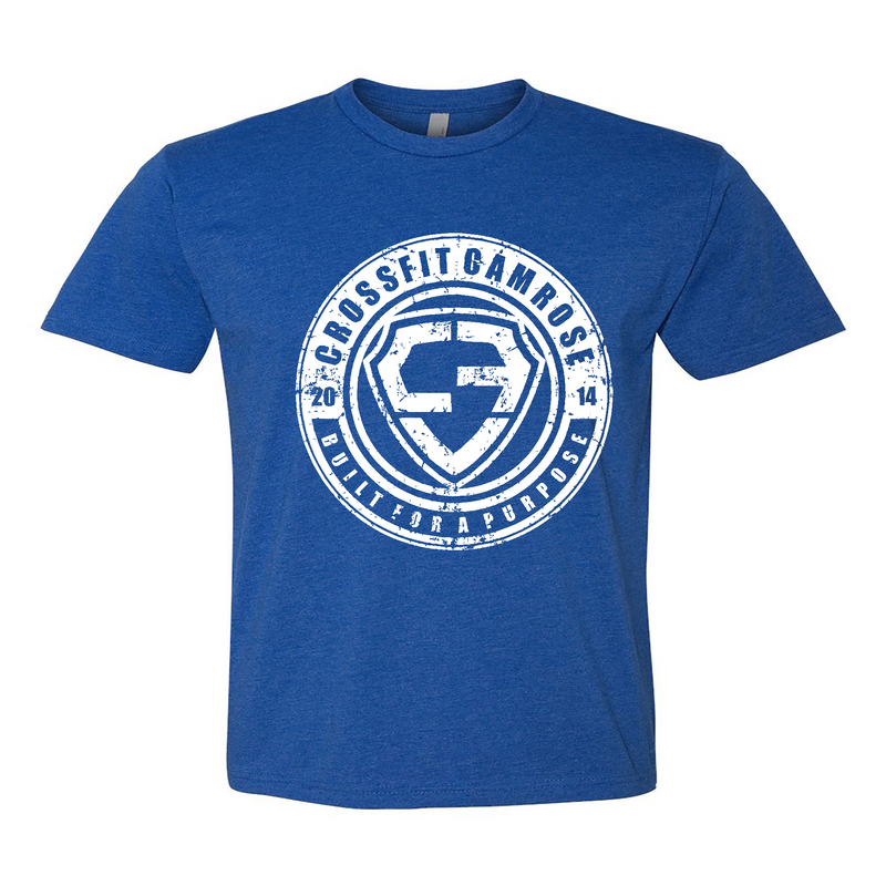 Mens 2X-Large ROYAL T-Shirt
