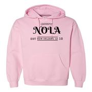Mens 2X-Large LIGHT_PINK Hoodie