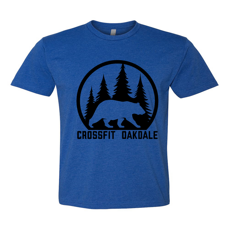 Mens 2X-Large ROYAL T-Shirt